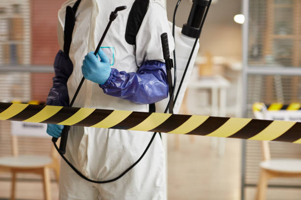 Professional Hoarding Cleanup technician working in Gregory, TX